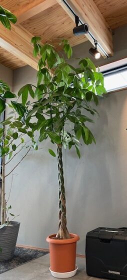 2025年お世話になりました！